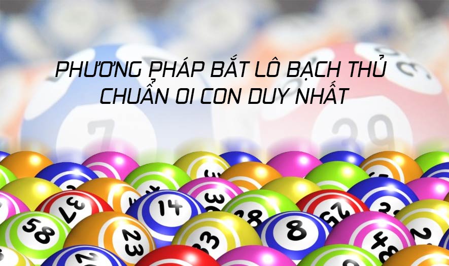 kinh nghiệm nuôi lô bạch thủ tỷ lệ chính xác tuyệt đối