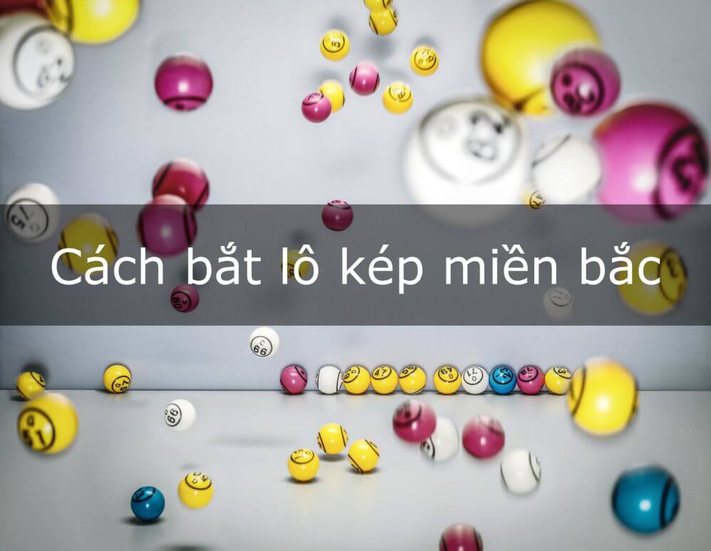 những điều cần biết về nuôi lô kép và hướng dẫn cách chơi lô kép hiệu quả