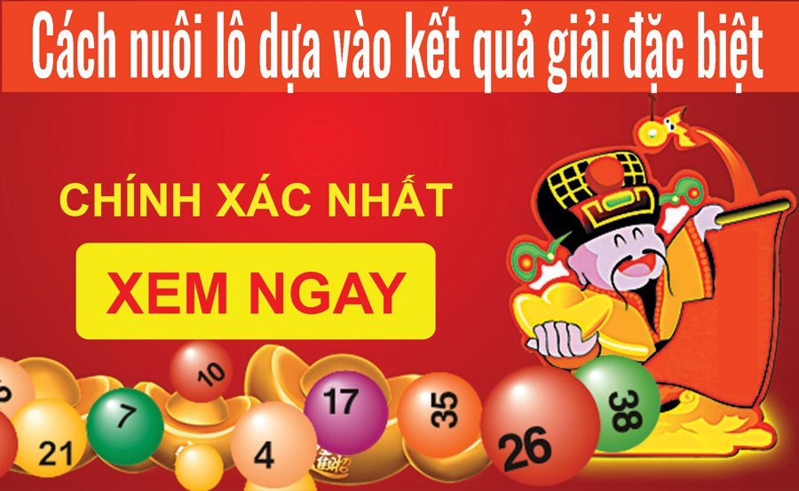 dàn đề đánh hàng ngày – cách nuôi dàn đặc biệt miền bắc chắc ăn 100%